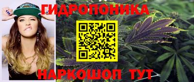 a pvp Пыть-Ях